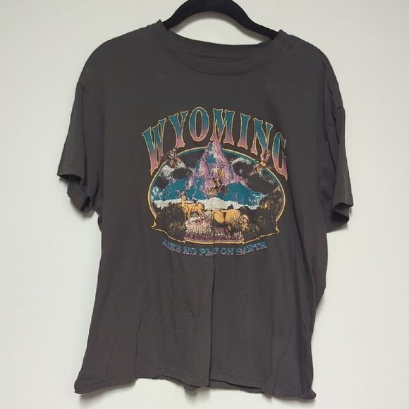 Mighty Fine Gray Wyoming Graphic Tee - Picture 1 of 4